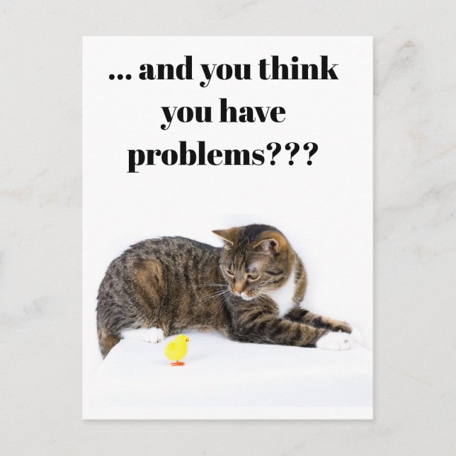 Postcard Katze schaut ’Küken’ an schwarzer Humor Vykort (Framsida)