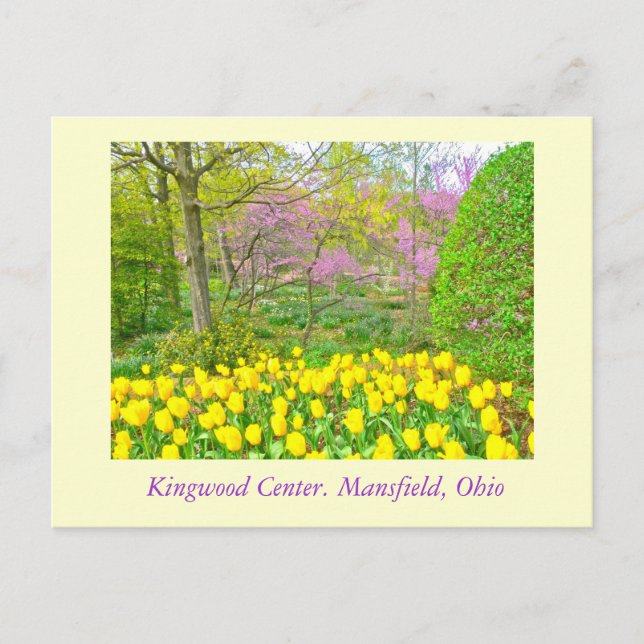 POSTCARD, ’KINGWOOD CENTER GARDENS’ VYKORT (Framsida)
