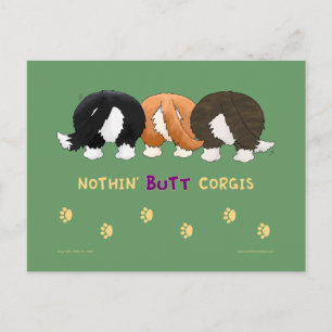 PostCard-kort för Nothin-Butt Corgis Vykort