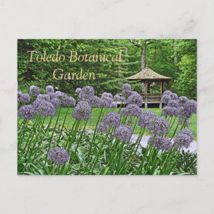 POSTCARD, "LILA ALLIUM & GAZEBO" TOLEDO BOTANICAL VYKORT