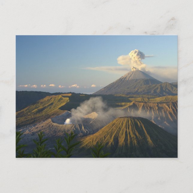 Postcard Mount Bromo, Java, Indonesien Vykort (Framsida)