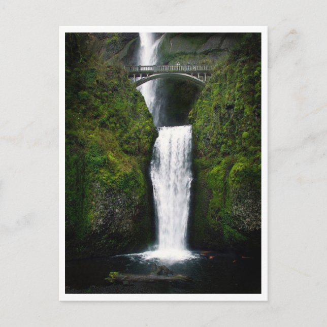 Postcard-Multnomah Falls, Oregon Vykort (Framsida)