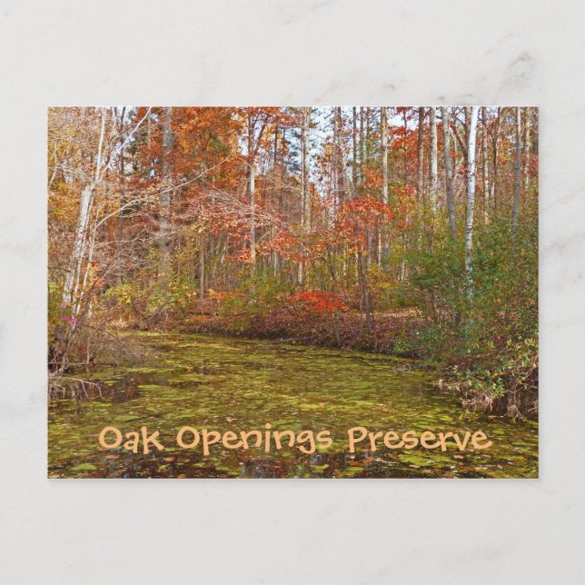 POSTCARD, OAK OPENINGS-RESERVE, TOLEDO METRO PARK VYKORT (Framsida)