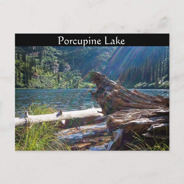 POSTCARD ~ "Porcupine Sjö" nära Clark Fork, Idaho Vykort (Framsida)