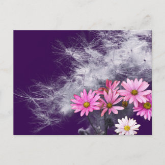 Postcard Postkarte Blumen und Distelsamen Vykort
