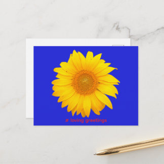 Postcard Postkarte Sonnenblume Liebe Grüße Vykort