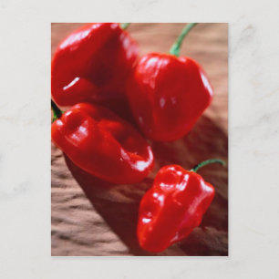 POSTCARD RED CHILI PEPPERS VYKORT