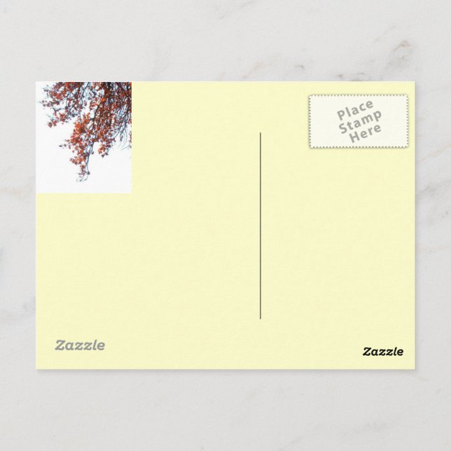 Postcard-Red Kite i Vindens kollage Vykort (Baksida)