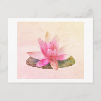 POSTCARD: ROSA LOTUS VYKORT