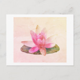 POSTCARD: ROSA LOTUS VYKORT