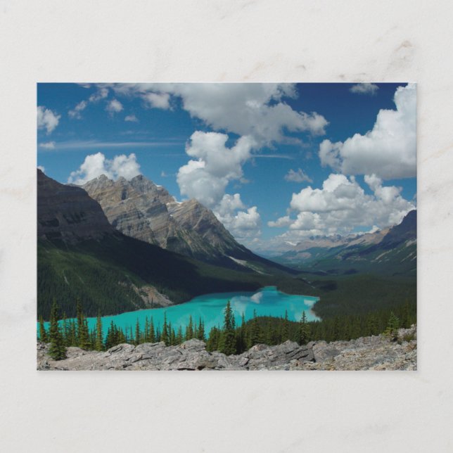 Postcard Sjö Peyto i Banff National Park i Kanada Vykort (Framsida)
