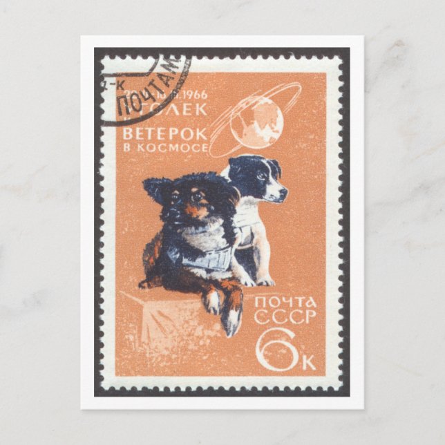 Postcard Space Hundar Veterok och Ugolyok Vykort (Framsida)