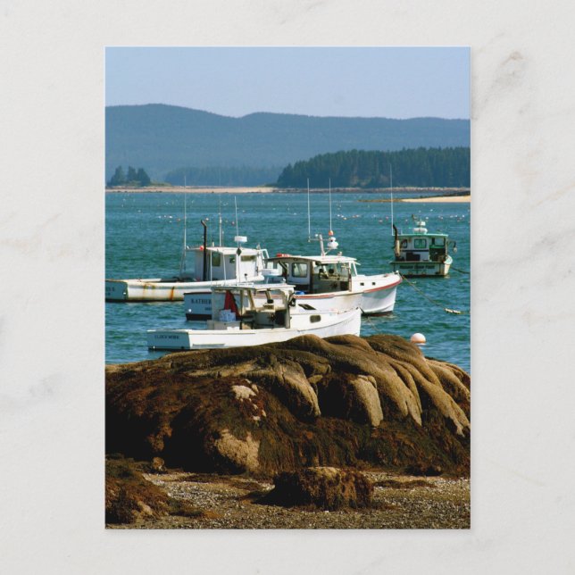 Postcard Stonington, Maine Vykort (Framsida)