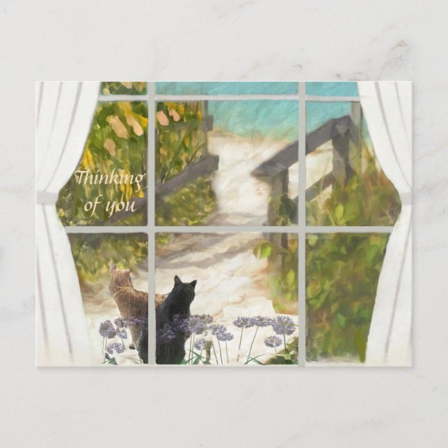 POSTCARD THINKING OF YOU Cats and Ocean  Vykort (Framsida)