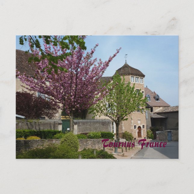 POSTCARD - Tournus Frankrike Vykort (Framsida)
