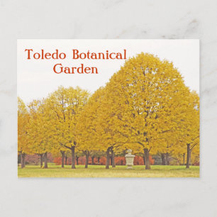 POSTCARD, "TRÄD OF GULD" TOLEDO BOTANICAL GARDEN VYKORT