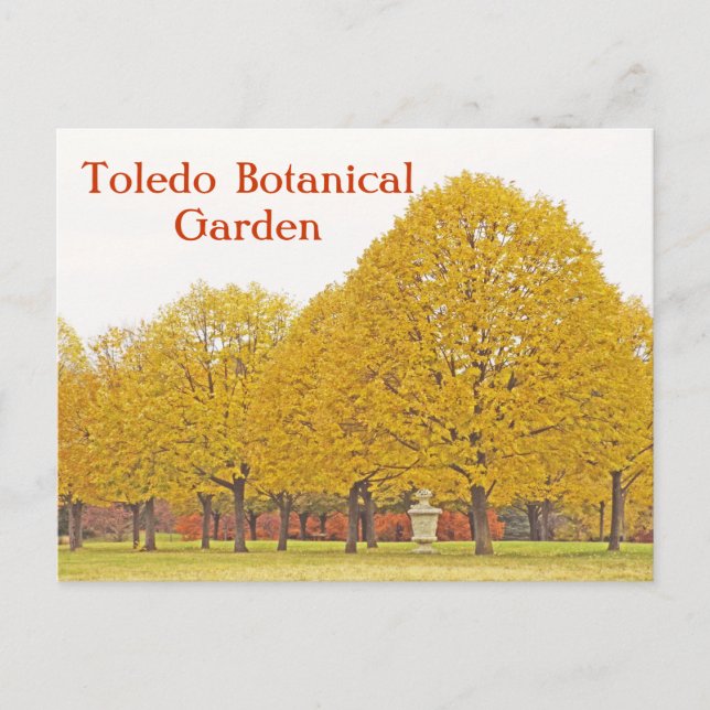 POSTCARD, "TRÄD OF GULD" TOLEDO BOTANICAL GARDEN VYKORT (Framsida)