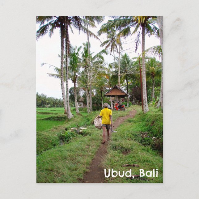 Postcard Ubud Bali Indonesia ris fält man Vykort (Framsida)