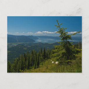 POSTCARD ~ View Clark Fork från Scotchman Peak Vykort