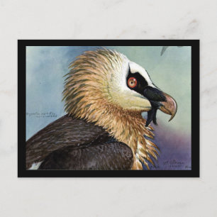 Postcard-Vintage Chicago Art-Abyssinian Birds 11 Vykort