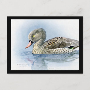 Postcard-Vintage Chicago Art-Abyssinian Birds 7 Vykort