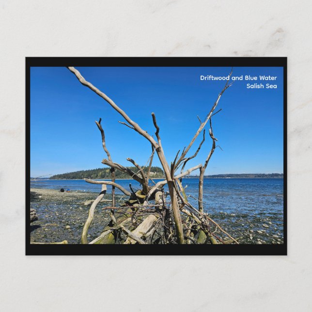 Postcard Vykort (Framsida)