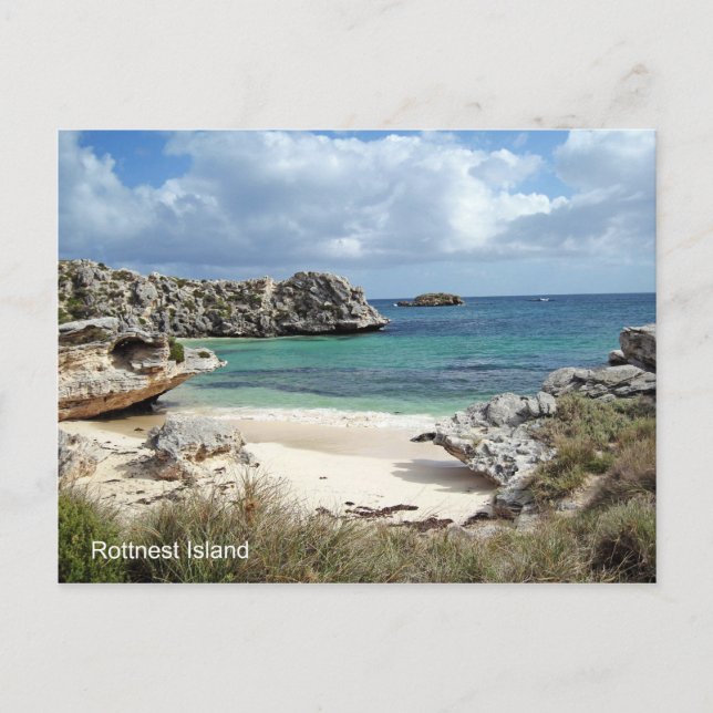 POSTCARD - Westerna Australien på Rottnest Vykort (Framsida)