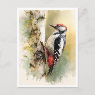Postcard. Woodpecker Vykort