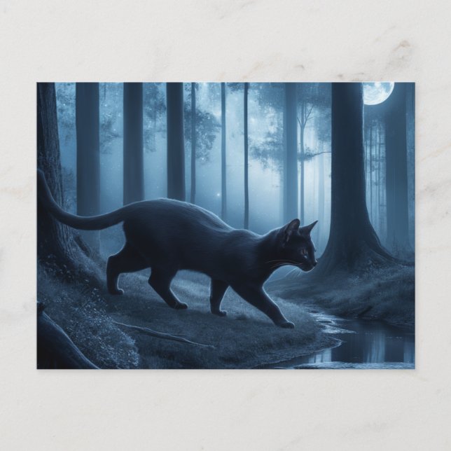 Postcards  Cat  Série 11 10 Vykort (Framsida)