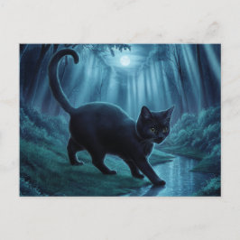 Postcards  Cat  Série 11 11 Vykort