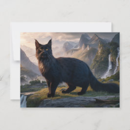 Postcards  Cat  Série 11 18 Vykort