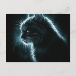 Postcards Cat Série 12 Vykort