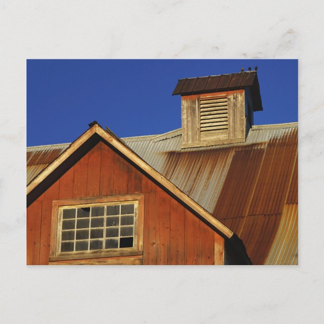 POSTCARDS NORTH HERO VERMONT VYKORT (Framsida)