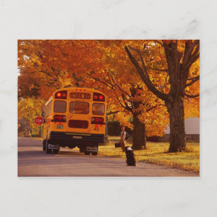 POSTCARDS SCHOOL BUSS VYKORT