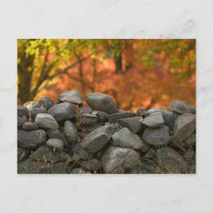 POSTCARDS STONE WALL VYKORT