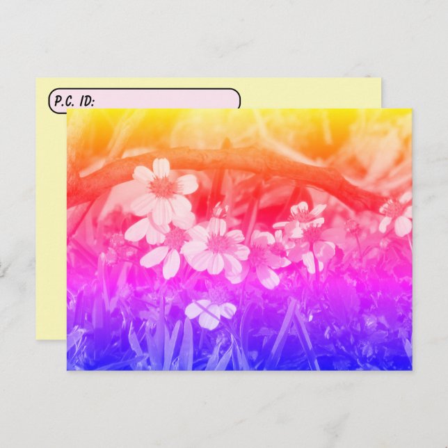 Postcross 70's Vibe Wildblommor w/ ID Box Vykort (Fram/baksida)