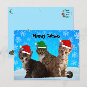 Postcross - Annie, Taz och Tito - Kat jul Helg Vykort