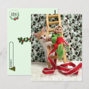 Postcross - Annie the Cat och jul Elf Vykort