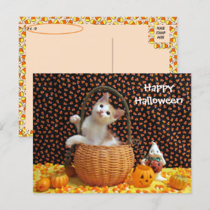 Postcross Annie's Nyfikna Halloween Cat Vykort