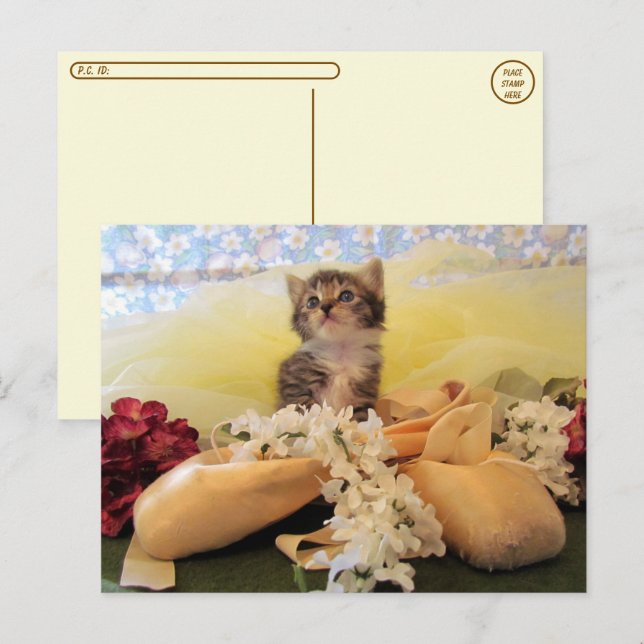 Postcross Ballerina Kate Cat / Kitten Postcard Vykort (Fram/baksida)