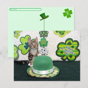 Postcross - Bandit Cats St. Patrick's Day Vykort