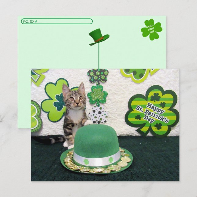 Postcross - Bandit Cats St. Patrick's Day Vykort (Fram/baksida)