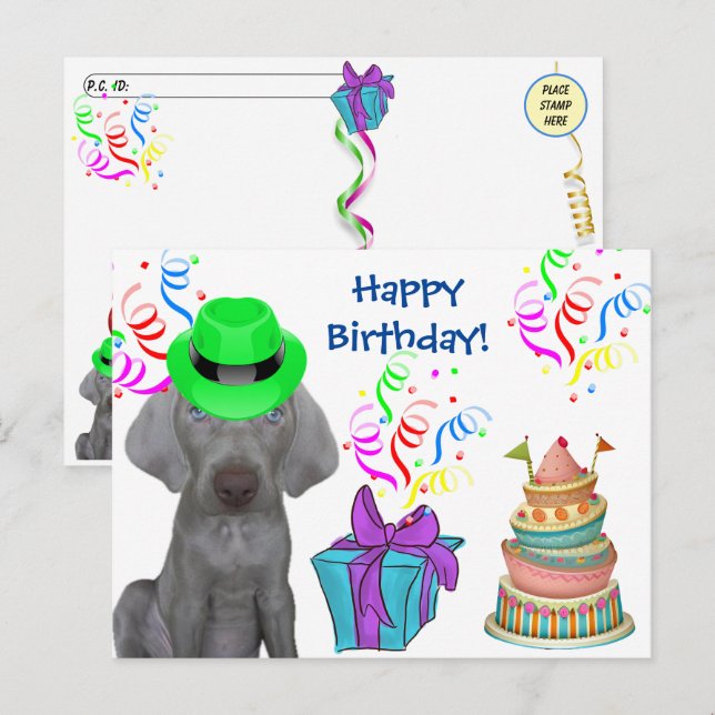 Postcross - Brooklyn the Weimaraner's Birthday Helg Vykort (Fram/baksida)
