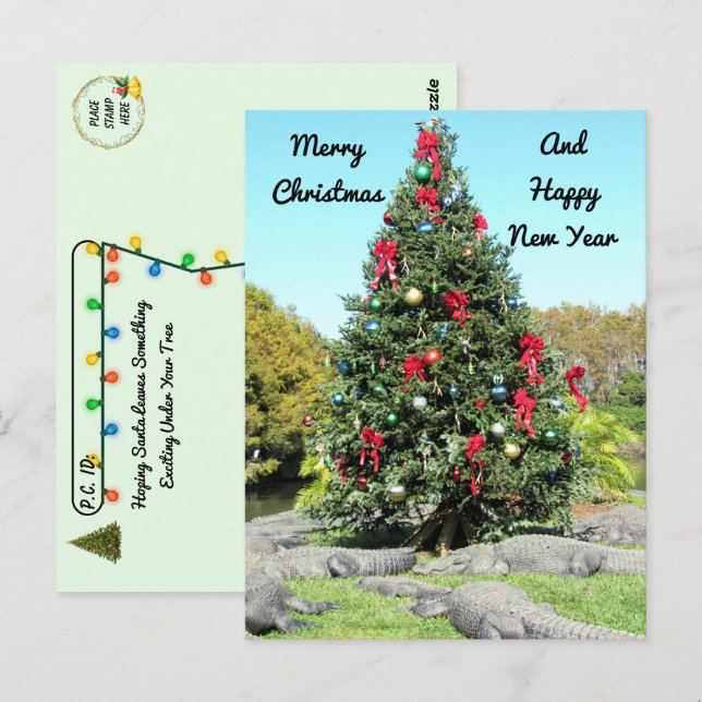 Postcross - Florida Gator Julgran Vykort (Fram/baksida)