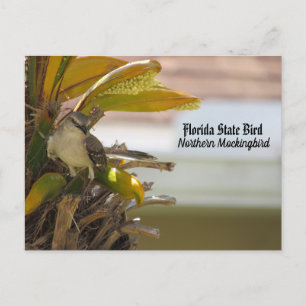 Postcross - Florida State Bird Postcard Vykort