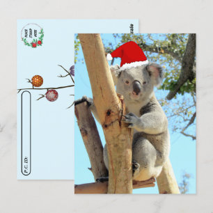 Postcross - Koala-julen Vykort