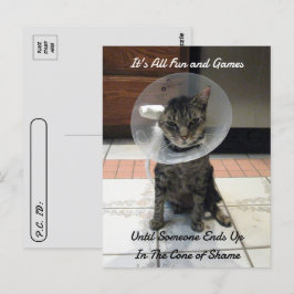 Postcross - Oliver The Cats Cone of Shame Vykort