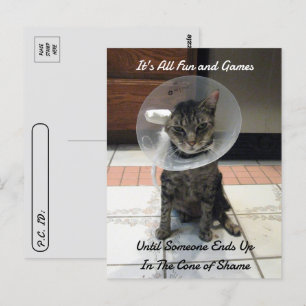 Postcross - Oliver The Cats Cone of Shame Vykort
