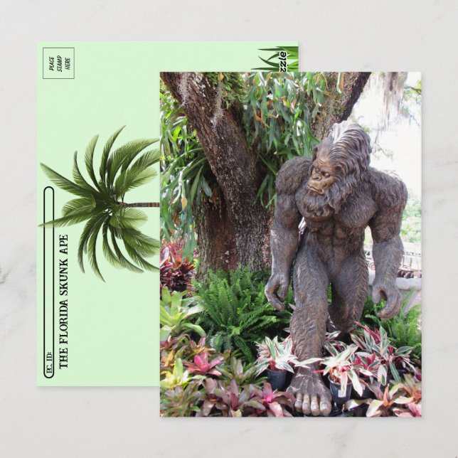 Postcross - Pic of a statue Florida Skunk Ape Vykort (Fram/baksida)