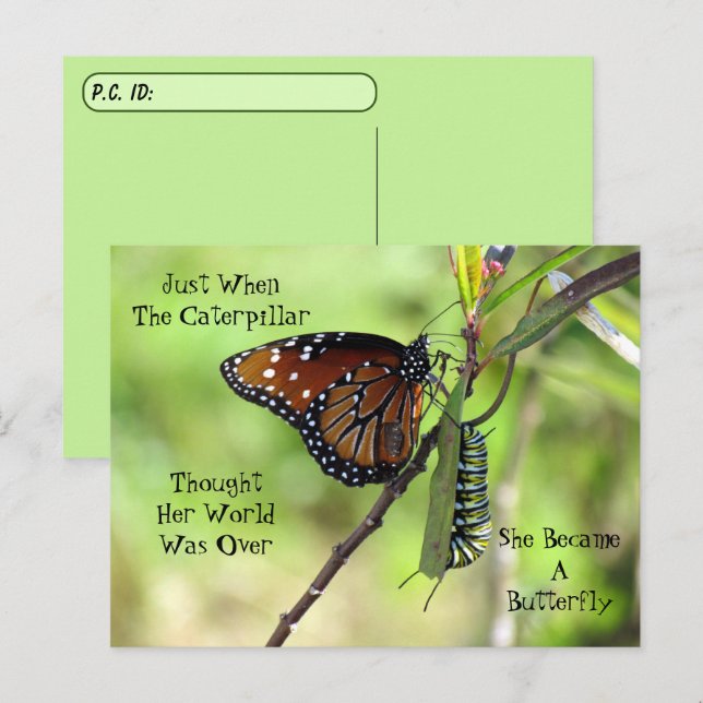 Postcross Queen Butterfly & Monarch w/ ID Box Vykort (Fram/baksida)